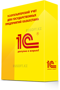 Бухгалтерский учет для государственных предприятий Казахстана